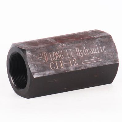 Inline check valves CIT 12